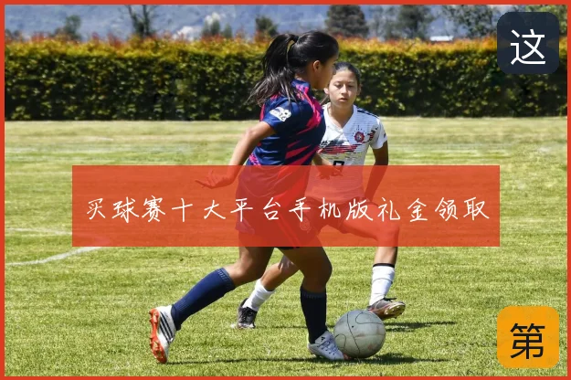 买球赛十大平台手机版礼金领取